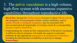 Vessels of the pelvis | PDF