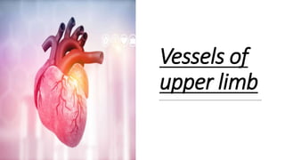 Vessels of
upper limb
 