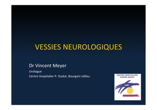 VESSIES NEUROLOGIQUES
Dr Vincent Meyer
Urologue
Centre Hospitalier P. Oudot, Bourgoin Jallieu
 