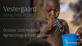 October 2020 Webinar on
Agroecology & Food Systems
 