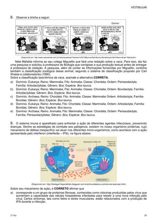 VESTIBULAR

8.

Observe a tirinha a seguir:

(Disponível em: http://www.estudavest.com.br/index/questoes/?resolver=23319&prova=&q=&inicio=&instituicao=&uf=&ano=&cat=1&subcat=)

Nela Mafalda informa ao seu colega Miguelito que fará uma redação sobre a vaca. Para isso, ela fez
uma pesquisa e solicitou à professora de Biologia que corrigisse a sua produção textual antes de entregar
à professora de redação. A pesquisa, além de conter as informações fornecidas por Miguelito, continha
também a classificação zoológica desse animal, segundo o sistema de classificação proposto por Carl
Woese e colaboradores (1990).
Sobre a classificação taxonômica da vaca, assinale a alternativa CORRETA.
a) Domínio: Eukarya; Reino: Mammalia; Filo: Animalia; Classe: Chordata; Ordem: Perissodactyla;
Família: Artiodactylidae; Gênero: Bos; Espécie: Bos taurus.
b) Domínio: Eukarya; Reino: Mammalia; Filo: Animalia; Classe: Chordata; Ordem: Bovidactyla; Família:
Artiodactylidae; Gênero: Bos; Espécie: Bos taurus.
c) Domínio: Archaea; Reino: Chordata; Filo: Animalia; Classe: Mammalia Ordem: Artiodactyla; Família:
Bovidae; Gênero: Bos; Espécie: Bos taurus.
d) Domínio: Eukarya; Reino: Animalia; Filo: Chordata; Classe: Mammalia; Ordem: Artiodactyla; Família:
Bovidae; Gênero: Bos; Espécie: Bos taurus.
e) Domínio: Archaea; Reino: Animalia; Filo: Mammalia; Classe: Chordata; Ordem: Perissodactyla;
Família: Perissodactylidae; Gênero: Bos; Espécie: Bos taurus.

9.

O sistema imune é aparelhado para enfrentar a ação de diferentes agentes infecciosos, prevenindo
doenças. Dentre as estratégias de combate aos patógenos, existem no nosso organismo proteínas, cujo
mecanismo de defesa inespecífico vai atuar nos diferentes micro-organismos, como acontece com a ação
apresentada pelo interferon (interferão – IFN), na figura abaixo.

(Disponível em: http://biologia12eportefolio.blogspot.com.br/p/imunidade-e-controlo-de-doencas.html)

Sobre seu mecanismo de ação, é CORRETO afirmar que
a) corresponde a um grupo de proteínas fibrosas, conhecidas como citocinas produzidas pelos vírus que
aumentam a capacidade das células hospedeiras infectadas para resistir a uma nova infecção pelo
vírus. Certos sintomas, tais como febre e dores musculares, estão relacionados com a produção de
IFN durante a infecção.

2º dia

28

 