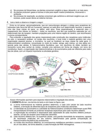 VESTIBULAR 
c) No processo de fotossíntese, as plantas consomem oxigênio e água, deixando o ar mais seco. 
d) As plantas produzem gases e toxinas à noite para repelir insetos predadores, intoxicando o 
ambiente. 
e) No processo de respiração, as plantas consomem gás carbônico e eliminam oxigênio que, em 
excesso, pode causar danos ao sistema nervoso. 
4. Leia o texto e observe a imagem a seguir: 
Entre os mil genes, aproximadamente, que em camundongos abrigam o código para receptores de 
odorantes (são cerca de 400 em humanos), apenas um está ativo num determinado neurônio, e apenas 
uma das duas cópias do gene, ou alelos, está ativa. Essa especialização é essencial para o 
mapeamento dos odores no cérebro – todos os neurônios, que têm sua superfície salpicada por um 
determinado tipo de receptor, mandam projeções para uma mesma região do cérebro, que reconhecerá 
o aroma correspondente. 
Para entender a regulação dos genes responsáveis pela construção dos receptores para moléculas 
de odor, é necessário analisar, no núcleo dos neurônios, o local onde o material genético tem uma 
organização espacial precisa, a cromatina, na qual se localizam as duas cópias de cada gene. A 
heterocromatina constitutiva, concentrada no miolo do núcleo, abriga, pelo menos, um dos alelos em 
grande parte das células. A heterocromatina facultativa, que, nos neurônios do olfato, também se 
concentra numa área central do núcleo, compõe uma estrutura em forma de chapéu, em torno da 
constitutiva. Assim, a organização das heterocromatinas e da eucromatina pode ser diferente para cada 
tipo de célula, com um impacto importante na atividade genética. 
Disponível em: http://revistapesquisa.fapesp.br/2014/06/16/dimensoes-olfato. Adaptado. 
Essas informações apontam para aspectos relacionados à regulação dos odores. 
É CORRETO afirmar, nos termos do texto e com base na figura, que 
a) a forma tridimensional do material genético determina, a cada ciclo celular de cada neurônio 
olfatório, a formação de diferentes tipos de receptores para moléculas odorantes. 
b) a inatividade da eucromatina e a atividade da heterocromatina constitutiva determinam quais RNA 
transportadores formarão as proteínas receptoras específicas para cada neurônio olfatório. 
c) a organização da cromatina é responsável pela capacidade de cada neurônio olfatório produzir, 
apenas, um tipo de receptor para moléculas odorantes. 
d) cada neurônio olfatório tem, na superfície celular, uma grande diversidade de receptores, capazes 
de reconhecer moléculas em seu entorno, determinados pela grande compactação da 
heterocromatina facultativa dos autossomos. 
e) no núcleo dos neurônios olfatórios, os cromossomos metafásicos permitem o acesso à transcrição 
de um dos alelos, de forma aleatória, a cada formação de RNA mensageiros. 
2º dia 24 
 
