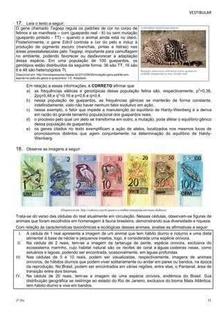 VESTIBULAR 
17. Leia o texto a seguir: 
O gene chamado Taqpep regula os padrões de cor no corpo de 
felinos e se manifesta – com (guepardo real - tt) ou sem mutação 
(guepardo pintado - TT) – quando o animal ainda está no útero. 
Posteriormente, o gene Edn3 controla a cor do pelo e induz à 
produção de pigmento escuro (manchas, pintas e listras) nas 
áreas preestabelecidas pelo Taqpep, importante para camuflagem 
no ambiente, podendo favorecer ou desfavorecer a adaptação 
dessa espécie. Em uma população de 100 guepardos, os 
genótipos estão distribuídos da seguinte forma: 36 são TT, 16 são 
tt e 48 são heterozigotos Tt. 
Disponível em: http://revistapesquisa.fapesp.br/2012/09/20/mutação-gera-padrão-em-espiral- 
no-pelo-de-gatos-e-guepardos/ 1/2. Adaptado. 
Em relação a essas informações, é CORRETO afirmar que 
a) as frequências alélicas e genotípicas dessa população felina são, respectivamente, p2=0,36, 
2pq=0,48 e q2=0,16 e p=0,6 e q=0,4. 
b) nessa população de guepardos, as frequências gênicas se manterão de forma constante, 
indefinidamente, visto não haver nenhum fator evolutivo em ação. 
c) nesse exemplo, o fator que impede a manutenção do equilíbrio de Hardy-Weinberg é a deriva 
em razão do grande tamanho populacional dos guepardos reais. 
d) o processo pelo qual um alelo se transforma em outro, a mutação, pode afetar o equilíbrio gênico 
dessa população de guepardos. 
e) os genes citados no texto exemplificam a ação de alelos, localizados nos mesmos locos de 
cromossomos distintos que agem conjuntamente na determinação do equilíbrio de Hardy- 
Weinberg. 
18. Observe as imagens a seguir: 
(Disponível em: http://vedrossi.com.br/quem-e-a-mulher-estampada-em-nosso-dinheiro) 
Trata-se do verso das cédulas do real atualmente em circulação. Nessas cédulas, observam-se figuras de 
animais que foram escolhidos em homenagem à fauna brasileira, demonstrando sua diversidade e riqueza. 
Com relação às características taxonômicas e ecológicas desses animais, analise as afirmativas a seguir: 
I. A cédula de 1 real apresenta a imagem de um animal que tem hábito diurno e noturno e uma dieta 
alimentar à base de néctar e pequenos insetos, logo, é considerada uma espécie onívora. 
II. Na cédula de 2 reais, tem-se a imagem da tartaruga de pente, espécie onívora, exclusiva do 
ecossistema marinho, cujo habitat natural são os recifes de coral e águas costeiras rasas, como 
estuários e lagoas, podendo ser encontrada, ocasionalmente, em águas profundas. 
III. Nas cédulas de 5 e 10 reais, podem ser visualizadas, respectivamente, imagens de animais 
onívoros, de hábitos diurnos que podem viver solitariamente ou andar em pares ou bandos, na época 
da reprodução. No Brasil, podem ser encontrados em várias regiões, entre elas, o Pantanal, área de 
transição entre dois biomas. 
IV. Na cédula de 20 reais, tem-se a imagem de uma espécie onívora, endêmica do Brasil. Sua 
distribuição geográfica se restringe ao estado do Rio de Janeiro, exclusiva do bioma Mata Atlântica; 
tem hábito diurno e vive em bandos. 
2º dia 31 
 