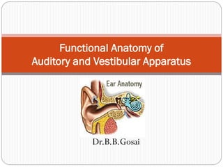 Dr.B.B.Gosai
Functional Anatomy of
Auditory and Vestibular Apparatus
 