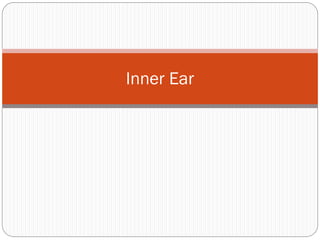 Inner Ear
 