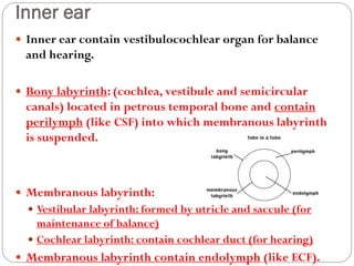 Inner ear
 Inner ear contain vestibulocochlear organ for balance
and hearing.
 Bony labyrinth: (cochlea, vestibule and semicircular
canals) located in petrous temporal bone and contain
perilymph (like CSF) into which membranous labyrinth
is suspended.
 Membranous labyrinth:
 Vestibular labyrinth: formed by utricle and saccule (for
maintenance of balance)
 Cochlear labyrinth: contain cochlear duct (for hearing)
 Membranous labyrinth contain endolymph (like ECF).
 