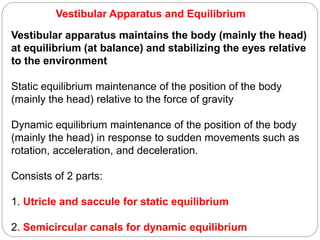 Vestibular Apparatus and Equilibrium
Vestibular apparatus maintains the body (mainly the head)
at equilibrium (at balance) and stabilizing the eyes relative
to the environment
Static equilibrium maintenance of the position of the body
(mainly the head) relative to the force of gravity
Dynamic equilibrium maintenance of the position of the body
(mainly the head) in response to sudden movements such as
rotation, acceleration, and deceleration.
Consists of 2 parts:
1. Utricle and saccule for static equilibrium
2. Semicircular canals for dynamic equilibrium
 