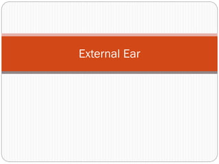 External Ear
 