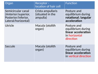 physiology of vestibular system with vivid diagrams. | PPTX