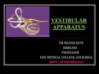 DR NILESH KATE
MBBS,MD
PROFESSOR
ESIC MEDICAL COLLEGE, GULBARGA.
DEPT. OF PHYSIOLOGY
VESTIBULAR
APPARATUS
 