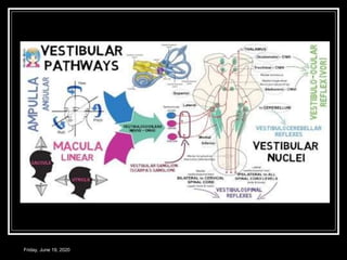 Friday, June 19, 2020
 
