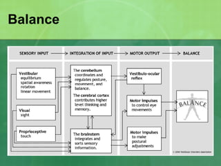 Vestibular disorders | PPT