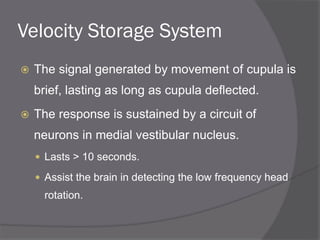 Velocity Storage System
 The signal generated by movement of cupula is
brief, lasting as long as cupula deflected.
 The response is sustained by a circuit of
neurons in medial vestibular nucleus.
 Lasts > 10 seconds.
 Assist the brain in detecting the low frequency head
rotation.
 