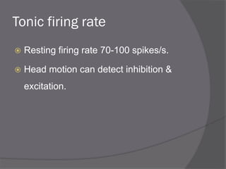 Tonic firing rate
 Resting firing rate 70-100 spikes/s.
 Head motion can detect inhibition &
excitation.
 