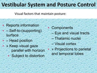 Posture Visual VESTIBULAR DISORDERS AND REHAB.pptx