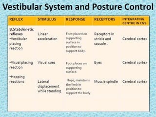VESTIBULAR DISORDERS AND REHAB.pptx