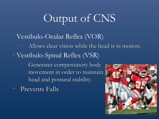 Vsr Example Vision Scope vestibular LEC12.ppt neuro rehabilitation | PPT