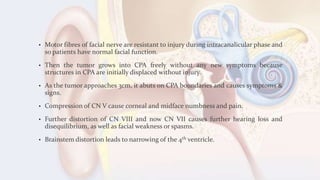 • Motor fibres of facial nerve are resistant to injury during intracanalicular phase and
so patients have normal facial function.
• Then the tumor grows into CPA freely without any new symptoms because
structures in CPA are initially displaced without injury.
• As the tumor approaches 3cm, it abuts on CPA boundaries and causes symptoms &
signs.
• Compression of CN V cause corneal and midface numbness and pain.
• Further distortion of CN VIII and now CN VII causes further hearing loss and
disequilibrium, as well as facial weakness or spasms.
• Brainstem distortion leads to narrowing of the 4th ventricle.
 
