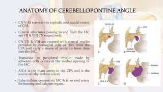 ANATOMY OF CEREBELLOPONTINE ANGLE
• CN V-XI traverse the cephalic and caudal extent
of CPA.
• Central structures passing to and from the IAC
are VII & VIII CN respectively.
• CN VII & VIII are covered with central myelin
provided by neuroglial cells as they cross the
CPA and carry a sleeve of posterior fossa dura
into the IAC.
• Transition to peripheral myelin made by
schwann cells occurs at the medial opening of
the IAC.
• AICA is the main artery in the CPA and is the
source of labyrinthine artery.
• Labyrinthine courses via IAC & is an end artery
for hearing and balance organs.
 