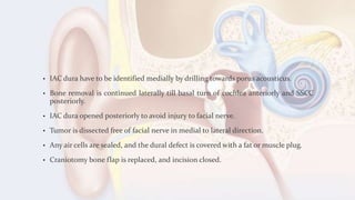 • IAC dura have to be identified medially by drilling towards porus acousticus.
• Bone removal is continued laterally till basal turn of cochlea anteriorly and SSCC
posteriorly.
• IAC dura opened posteriorly to avoid injury to facial nerve.
• Tumor is dissected free of facial nerve in medial to lateral direction.
• Any air cells are sealed, and the dural defect is covered with a fat or muscle plug.
• Craniotomy bone flap is replaced, and incision closed.
 