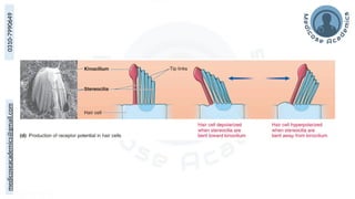 medicoseacademics@gmail.com
0310-7990649
 