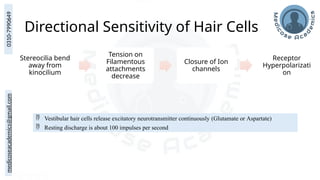 medicoseacademics@gmail.com
0310-7990649
Directional Sensitivity of Hair Cells
Stereocilia bend
away from
kinocilium
Tension on
Filamentous
attachments
decrease
Closure of Ion
channels
Receptor
Hyperpolarizati
on
 Vestibular hair cells release excitatory neurotransmitter continuously (Glutamate or Aspartate)
 Resting discharge is about 100 impulses per second
 
