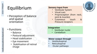 medicoseacademics@gmail.com
0310-7990649
Equilibrium
• Perception of balance
and spatial
orientation
• Functions
• Balance
• Postural adjustment
• Head stabilization
• Eye movement
• Stabilisation of retinal
image
Sensory input from
• Vestibular System
• Visual cues
• Proprioception (from neck,
joint & muscles)
• Cutaneous touch &
Pressure receptors
Integration
• Vestibular nuclei
• Cerebellum
Motor output through
• Vestibulospinal
• Reticulospinal
• Ocular pathways
 