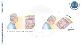 medicoseacademics@gmail.com
0310-7990649
 