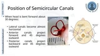 medicoseacademics@gmail.com
0310-7990649
Position of Semicircular Canals
• When head is bent forward about
30 degrees:
• Lateral canals become almost
horizontal
• Anterior canals project
forward and 45 degrees
outward
• Posterior canals project
backward and 45 degrees
outward
 