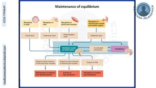 medicoseacademics@gmail.com
0310-7990649
 