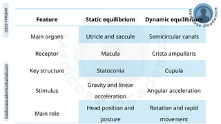 medicoseacademics@gmail.com
0310-7990649
Feature Static equilibrium Dynamic equilibrium
Main organs Utricle and saccule Semicircular canals
Receptor Macula Crista ampullaris
Key structure Statoconia Cupula
Stimulus
Gravity and linear
acceleration
Angular acceleration
Main role
Head position and
posture
Rotation and rapid
movement
 