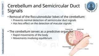 medicoseacademics@gmail.com
0310-7990649
Cerebellum and Semicircular Duct
Signals
• Removal of the flocculonodular lobes of the cerebellum:
• Prevents normal detection of semicircular duct signals
• Has less effect on the detection of macular signals
• The cerebellum serves as a predictive organ for:
• Rapid movements of the body
• Movements involving equilibrium
 