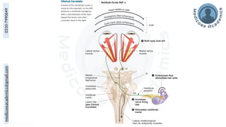 medicoseacademics@gmail.com
0310-7990649
 