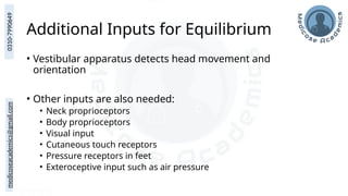 medicoseacademics@gmail.com
0310-7990649
Additional Inputs for Equilibrium
• Vestibular apparatus detects head movement and
orientation
• Other inputs are also needed:
• Neck proprioceptors
• Body proprioceptors
• Visual input
• Cutaneous touch receptors
• Pressure receptors in feet
• Exteroceptive input such as air pressure
 