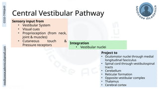 medicoseacademics@gmail.com
0310-7990649
Central Vestibular Pathway
Sensory input from
• Vestibular System
• Visual cues
• Proprioception (from neck,
joint & muscles)
• Cutaneous touch &
Pressure receptors
Integration
• Vestibular nuclei
Project to
• Oculomotor nuclei through medial
longitudinal fasciculus
• Spinal cord through vestibulospinal
tracts
• Cerebellum
• Reticular formation
• Opposite vestibular complex
• Thalamus
• Cerebral cortex
 
