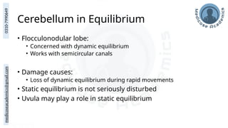 medicoseacademics@gmail.com
0310-7990649
Cerebellum in Equilibrium
• Flocculonodular lobe:
• Concerned with dynamic equilibrium
• Works with semicircular canals
• Damage causes:
• Loss of dynamic equilibrium during rapid movements
• Static equilibrium is not seriously disturbed
• Uvula may play a role in static equilibrium
 