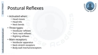 medicoseacademics@gmail.com
0310-7990649
Postural Reflexes
• Activated when:
• Head moves
• Head tilts
• Neck bends
• Three types:
• Vestibular reflexes
• Tonic neck reflexes
• Righting reflexes
• Main receptors:
• Vestibular apparatus
• Neck stretch receptors
• Body-wall mechanoreceptors
 