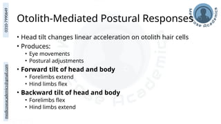 medicoseacademics@gmail.com
0310-7990649
Otolith-Mediated Postural Responses
• Head tilt changes linear acceleration on otolith hair cells
• Produces:
• Eye movements
• Postural adjustments
• Forward tilt of head and body
• Forelimbs extend
• Hind limbs flex
• Backward tilt of head and body
• Forelimbs flex
• Hind limbs extend
 