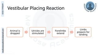 medicoseacademics@gmail.com
0310-7990649
Vestibular Placing Reaction
Animal is
dropped
Utricles are
stimulated
Forelimbs
extend
Limbs
prepare for
landing
 
