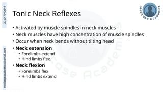 medicoseacademics@gmail.com
0310-7990649
Tonic Neck Reflexes
• Activated by muscle spindles in neck muscles
• Neck muscles have high concentration of muscle spindles
• Occur when neck bends without tilting head
• Neck extension
• Forelimbs extend
• Hind limbs flex
• Neck flexion
• Forelimbs flex
• Hind limbs extend
 