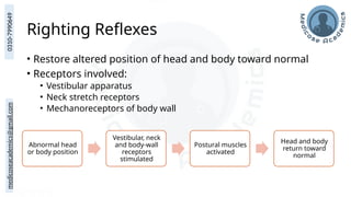 medicoseacademics@gmail.com
0310-7990649
Righting Reflexes
• Restore altered position of head and body toward normal
• Receptors involved:
• Vestibular apparatus
• Neck stretch receptors
• Mechanoreceptors of body wall
Abnormal head
or body position
Vestibular, neck
and body-wall
receptors
stimulated
Postural muscles
activated
Head and body
return toward
normal
 