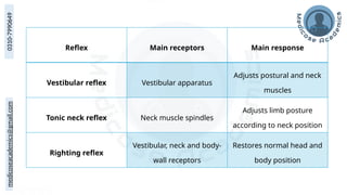 medicoseacademics@gmail.com
0310-7990649
Reflex Main receptors Main response
Vestibular reflex Vestibular apparatus
Adjusts postural and neck
muscles
Tonic neck reflex Neck muscle spindles
Adjusts limb posture
according to neck position
Righting reflex
Vestibular, neck and body-
wall receptors
Restores normal head and
body position
 