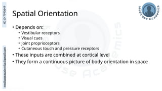 medicoseacademics@gmail.com
0310-7990649
Spatial Orientation
• Depends on:
• Vestibular receptors
• Visual cues
• Joint proprioceptors
• Cutaneous touch and pressure receptors
• These inputs are combined at cortical level
• They form a continuous picture of body orientation in space
 