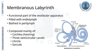 medicoseacademics@gmail.com
0310-7990649
Membranous Labyrinth
• Functional part of the vestibular apparatus
• Filled with endolymph
• Bathed in perilymph
• Composed mainly of:
• Cochlea (hearing)
• Three semicircular canals
• Utricle
• Saccule
 