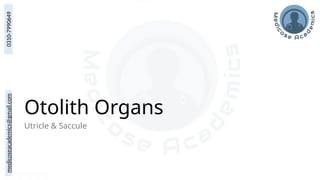 medicoseacademics@gmail.com
0310-7990649
Otolith Organs
Utricle & Saccule
 