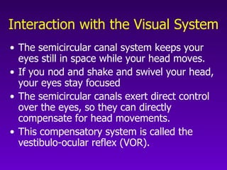 Interaction with the Visual System The semicircular canal system keeps your eyes still in space while your head moves. If you nod and shake and swivel your head, your eyes stay focused The semicircular canals exert direct control over the eyes, so they can directly compensate for head movements.  This compensatory system is called the vestibulo-ocular reflex (VOR). 