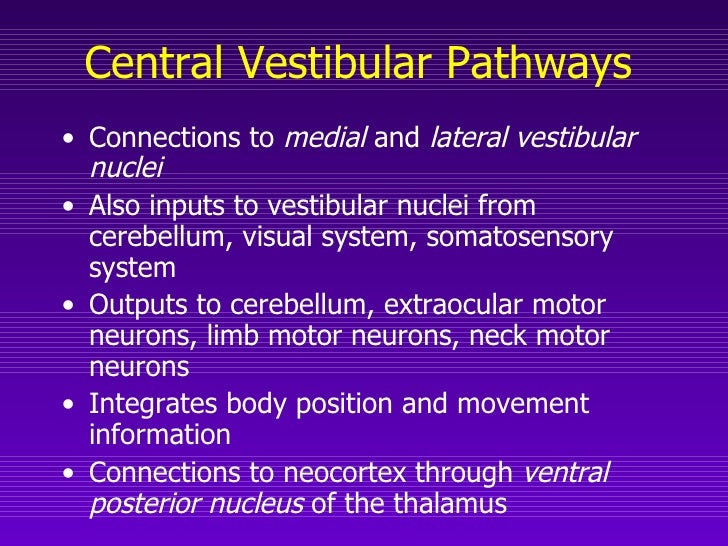 Vestibular Pathway Diagram
