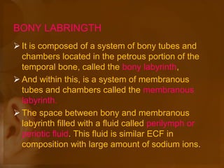 BONY LABRINGTH
 It is composed of a system of bony tubes and
chambers located in the petrous portion of the
temporal bone, called the bony labyrinth,
 And within this, is a system of membranous
tubes and chambers called the membranous
labyrinth.
 The space between bony and membranous
labyrinth filled with a fluid called perilymph or
periotic fluid. This fluid is similar ECF in
composition with large amount of sodium ions.
 