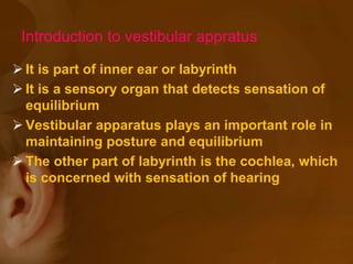 Introduction to vestibular appratus
 It is part of inner ear or labyrinth
 It is a sensory organ that detects sensation of
equilibrium
 Vestibular apparatus plays an important role in
maintaining posture and equilibrium
 The other part of labyrinth is the cochlea, which
is concerned with sensation of hearing
 