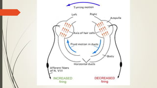 Vestibular system -Maintenance of Balance and Equilibrium | PPTX